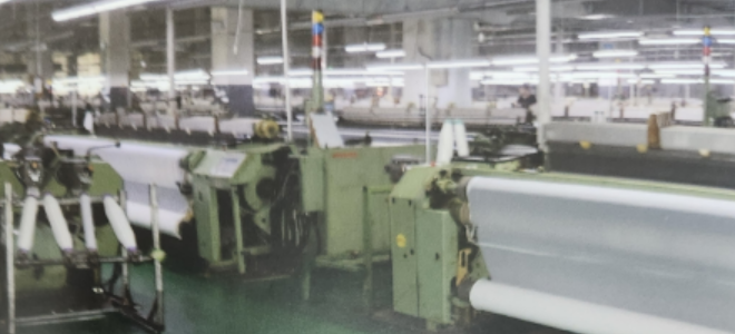 비즈니스 파트너